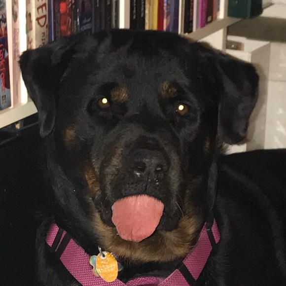 Meet your Posher, Richard - Picture 1 of 1